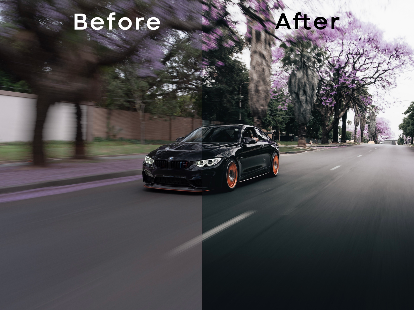 Ultimate Preset Bundle - 55 Premium Presets